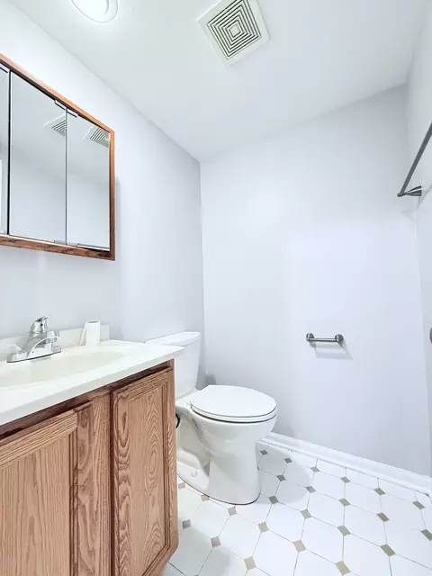 Bath - 218 E Bailey Rd #M, Naperville, IL 60565 photo 1 of 3