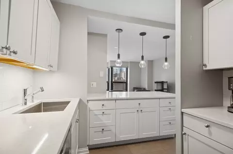 30 E Huron St #1503, Chicago, IL 60611 photo 8
