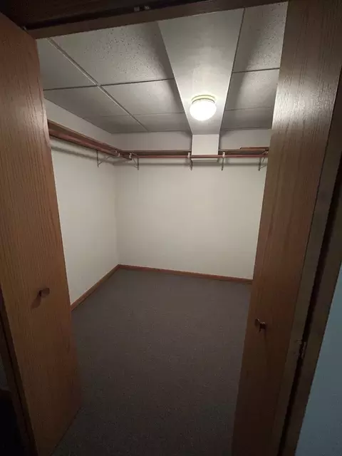 3710 Fillmore Dr, Johnsburg, IL 60051 photo 16