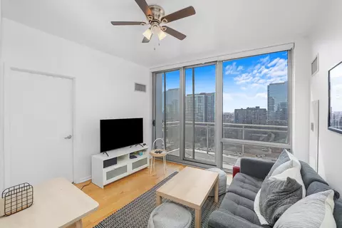 1 E 8th St #1006, Chicago, IL 60605 photo 8