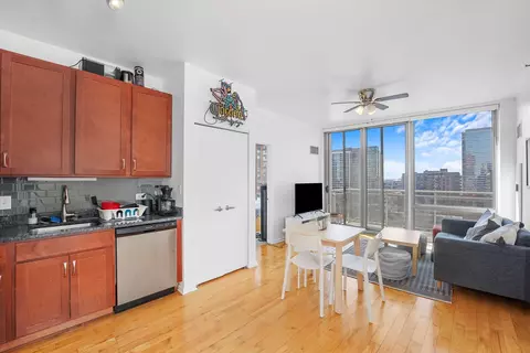 1 E 8th St #1006, Chicago, IL 60605 photo 5