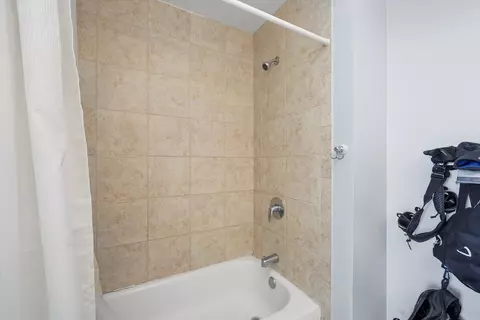 1 E 8th St #1006, Chicago, IL 60605 photo 19
