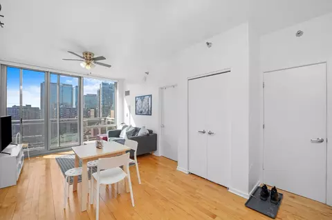 1 E 8th St #1006, Chicago, IL 60605 photo 9