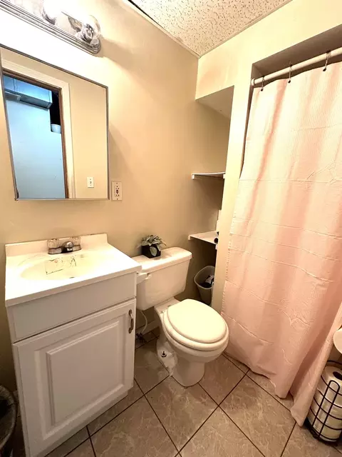 Bath - 403 Richards St, Joliet, IL 60433 photo 3 of 3