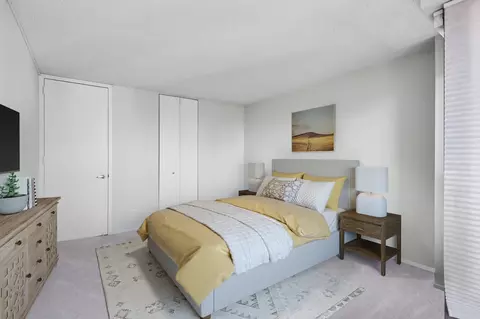 30 E Huron St #4702, Chicago, IL 60611 photo 18