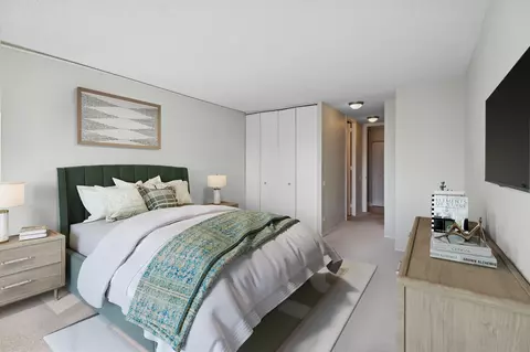 30 E Huron St #4702, Chicago, IL 60611 photo 14