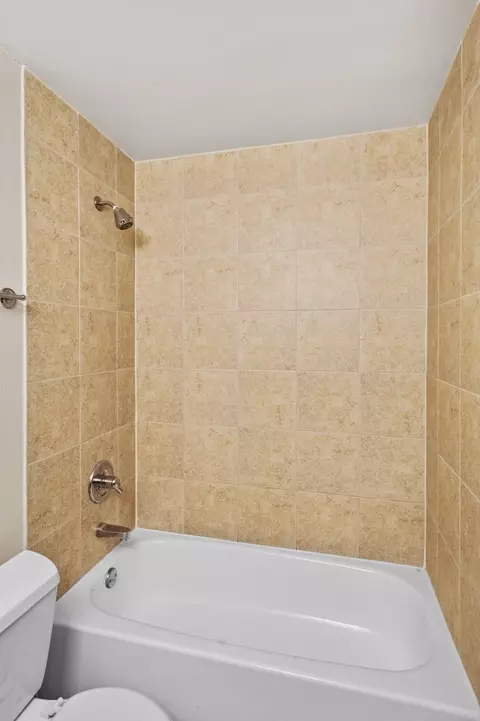 30 E Huron St #4702, Chicago, IL 60611 photo 16