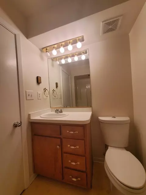 Bath - 17162 S Lily Cache Rd, Plainfield, IL 60586 photo 3 of 4