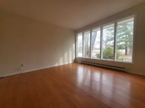 Living - 17162 S Lily Cache Rd, Plainfield, IL 60586 photo 1 of 2