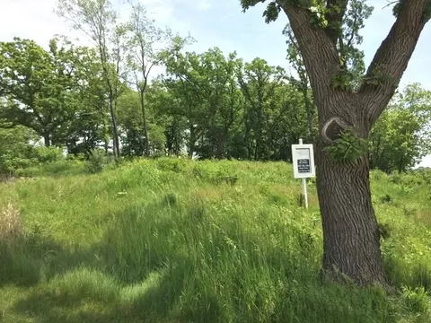 lot20 1221 Ridgemoor Trl, Bull Valley, IL 60098