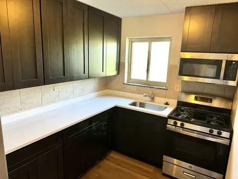 572 Fairway View Dr #2B, Wheeling, IL 60090 photo 2