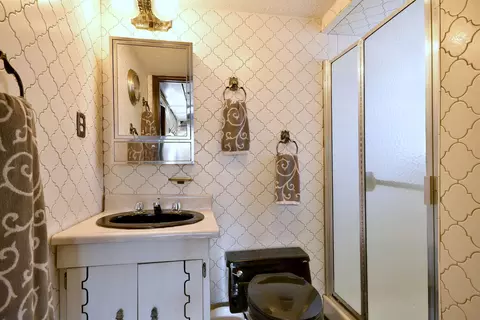 Bath - 834 N Adele St, Elmhurst, IL 60126 photo 3 of 4