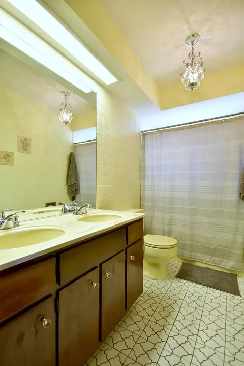 Bath - 834 N Adele St, Elmhurst, IL 60126 photo 2 of 4