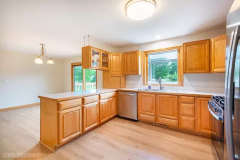 1333 Lund Ave, Algonquin, IL 60102 photo 10