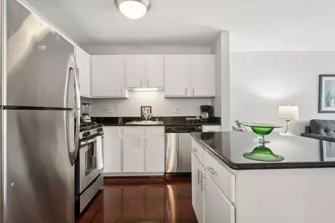 Kitchen - 545 N Dearborn St #1502, Chicago, IL 60654 photo 3 of 3