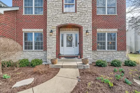 12517 Wingstem St, Plainfield, IL 60585 photo 6