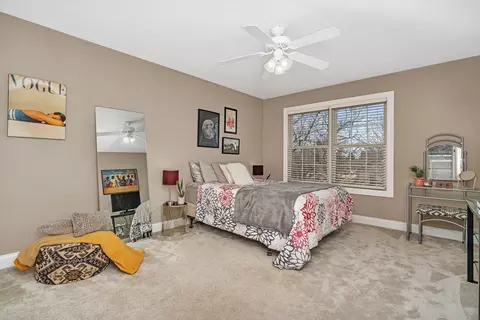 12517 Wingstem St, Plainfield, IL 60585 photo 31