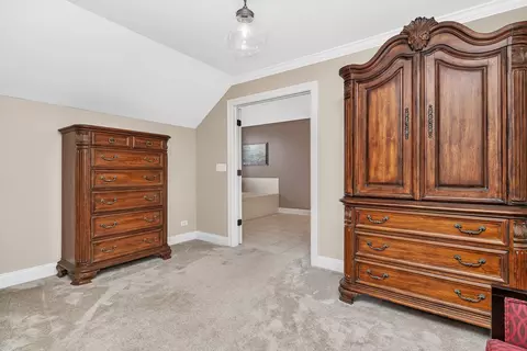 12517 Wingstem St, Plainfield, IL 60585 photo 36
