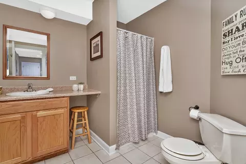 12517 Wingstem St, Plainfield, IL 60585 photo 49