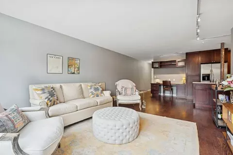 40 E Cedar St #4D, Chicago, IL 60611 photo 7