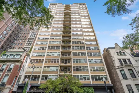 40 E Cedar St #4D, Chicago, IL 60611