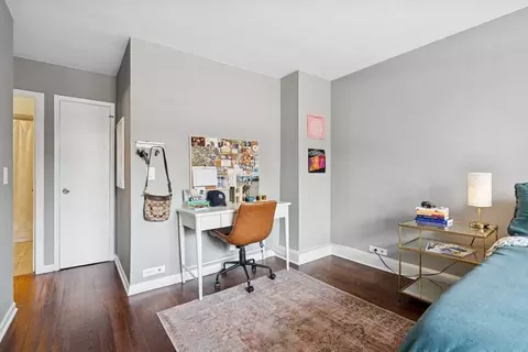 40 E Cedar St #4D, Chicago, IL 60611 photo 12