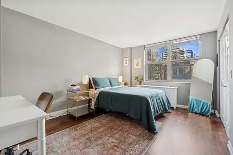 40 E Cedar St #4D, Chicago, IL 60611 photo 11