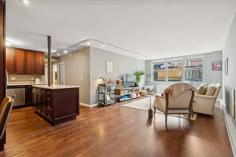 40 E Cedar St #4D, Chicago, IL 60611 photo 3