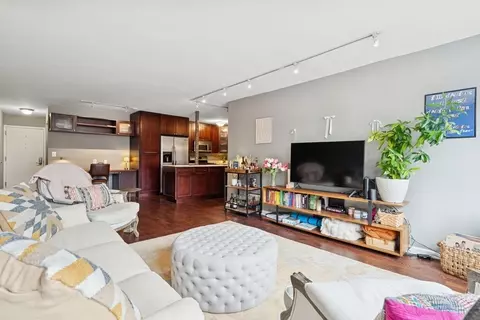 40 E Cedar St #4D, Chicago, IL 60611 photo 8