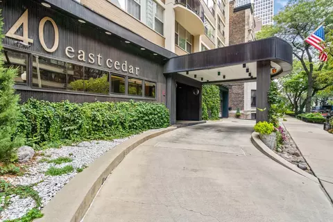 40 E Cedar St #4D, Chicago, IL 60611 photo 2