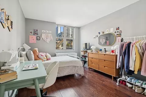 40 E Cedar St #4D, Chicago, IL 60611 photo 14