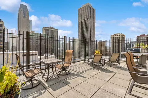 40 E Cedar St #4D, Chicago, IL 60611 photo 17