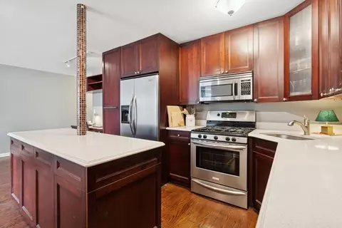 40 E Cedar St #4D, Chicago, IL 60611 photo 10