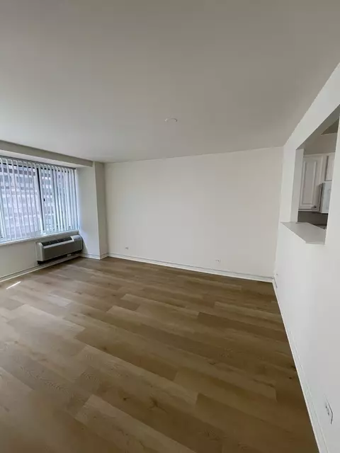 Living - 211 E Ohio St #1013, Chicago, IL 60611 photo 1 of 2