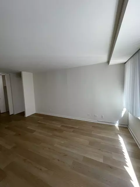 Living - 211 E Ohio St #1013, Chicago, IL 60611 photo 2 of 2
