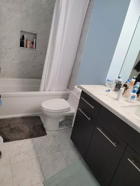 Bath - 211 E Ohio St #1013, Chicago, IL 60611 photo 2 of 4
