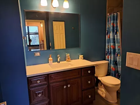 Bath - 618 Congdon Ave, Elgin, IL 60120 photo 11 of 11
