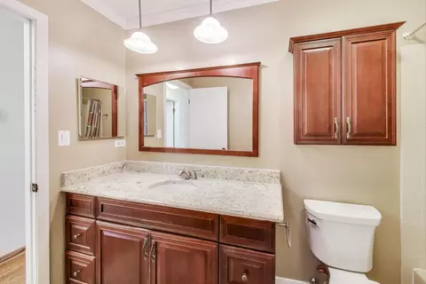 Bath - 545 Tennyson Dr, Wheaton, IL 60189 photo 2 of 3