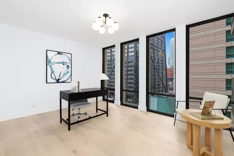200 E Delaware Pl #10A, Chicago, IL 60611 photo 35