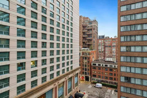 200 E Delaware Pl #10A, Chicago, IL 60611 photo 40