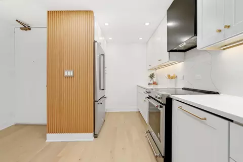 200 E Delaware Pl #10A, Chicago, IL 60611 photo 14