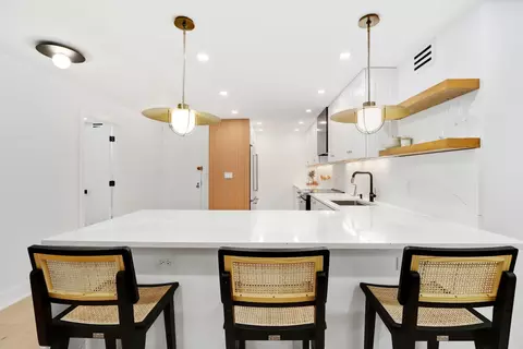 200 E Delaware Pl #10A, Chicago, IL 60611 photo 7
