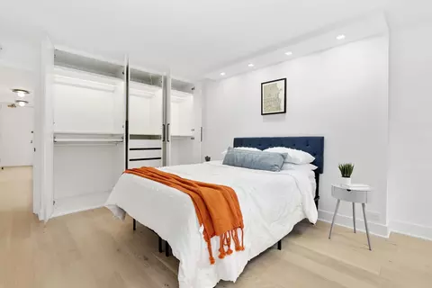 200 E Delaware Pl #10A, Chicago, IL 60611 photo 28