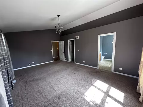 343 Tracy Ln, Elgin, IL 60124 photo 18