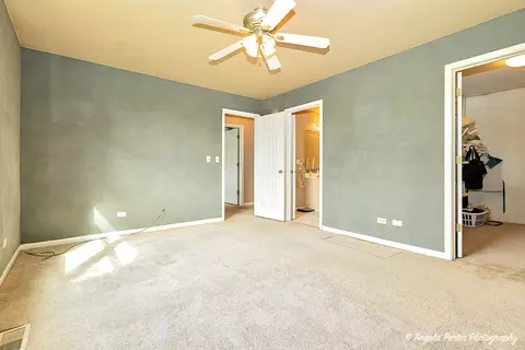11369 Timer Dr, Huntley, IL 60142 photo 18