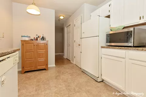 11369 Timer Dr, Huntley, IL 60142 photo 11
