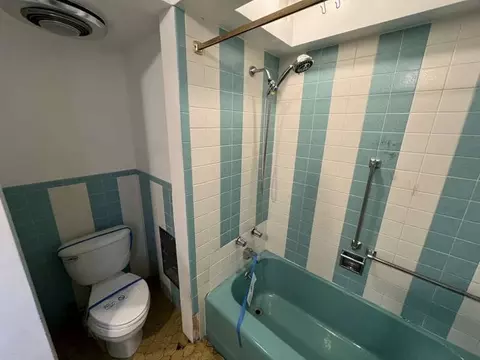 Bath - Undisclosed, Chicago, IL 60619 photo 5 of 6