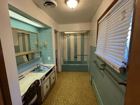 Bath - Undisclosed, Chicago, IL 60619 photo 4 of 6