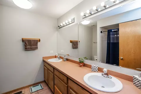 7259 S Ferdinand Ave, Bridgeview, IL 60455 photo 16