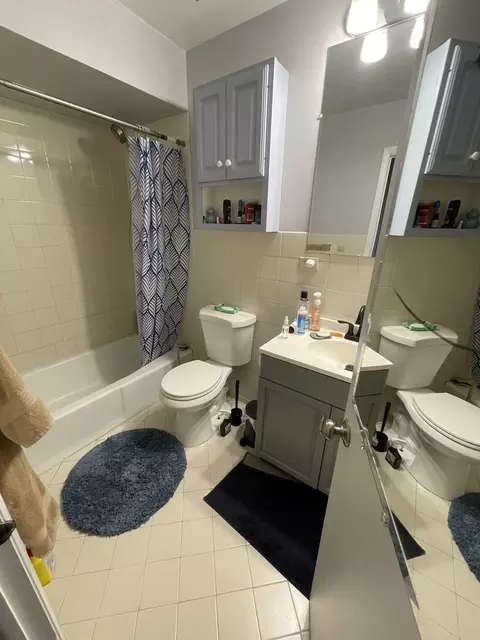 Bath - 1250 E Washington St #10, Des Plaines, IL 60016 photo 1 of 1